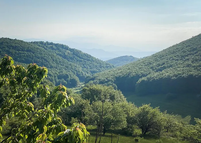 Arcturia Νυμφαίο